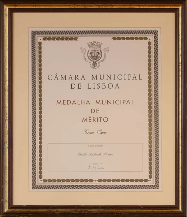 Medalha Municipal de Mérito