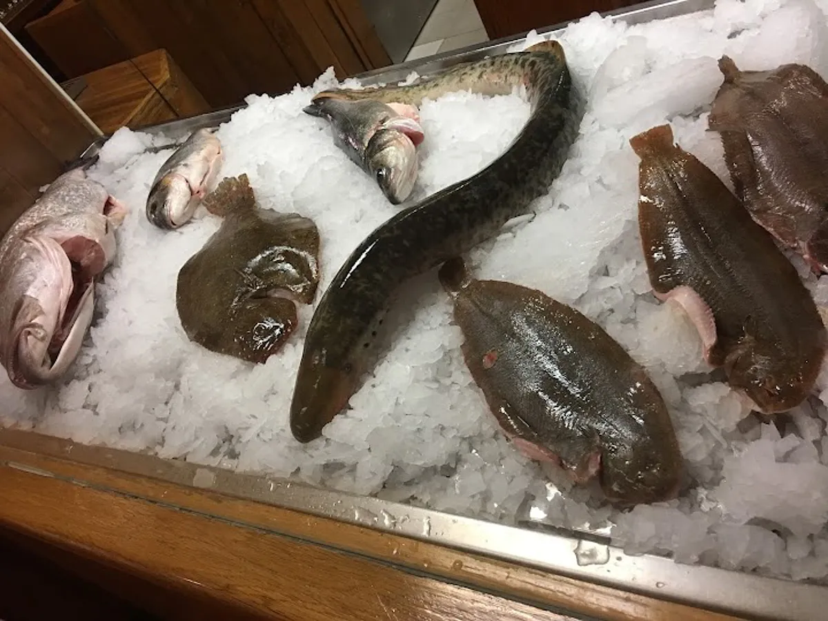 Peixe fresco da montra